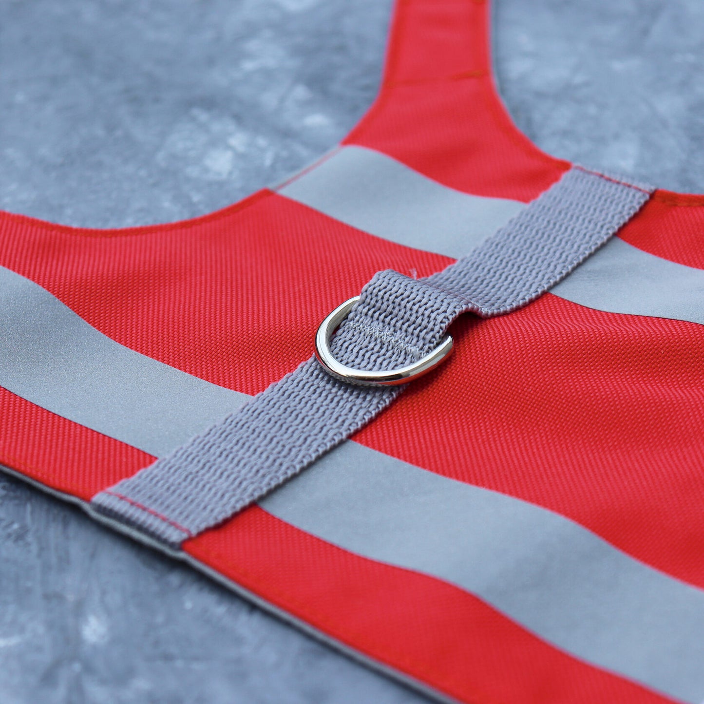Close-up of a silver D-ring attached to a grey strap on a bright red water-repellent cat harness with reflective silver stripes.