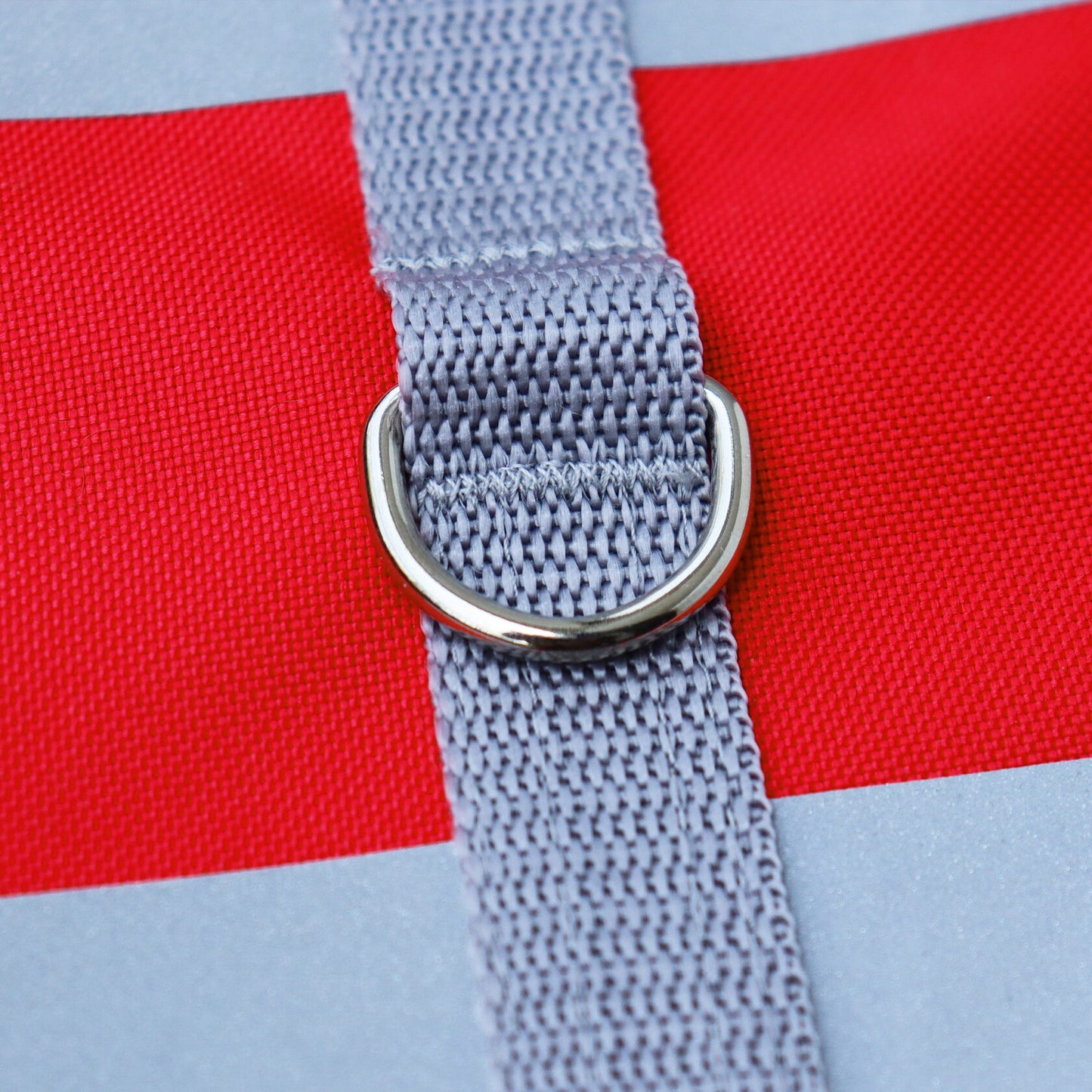 Close-up of a silver metal D-ring attached to a grey strap on a bright red water-repellent cat harness with a reflective silver stripe.