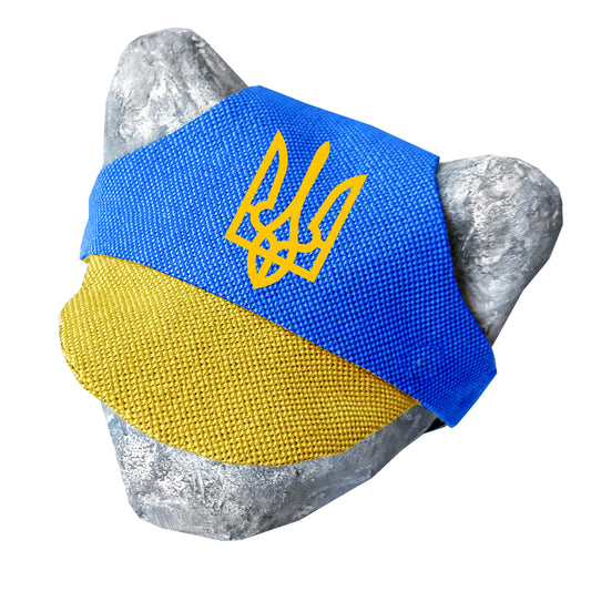 Coat of arms of Ukraine hat for cat
