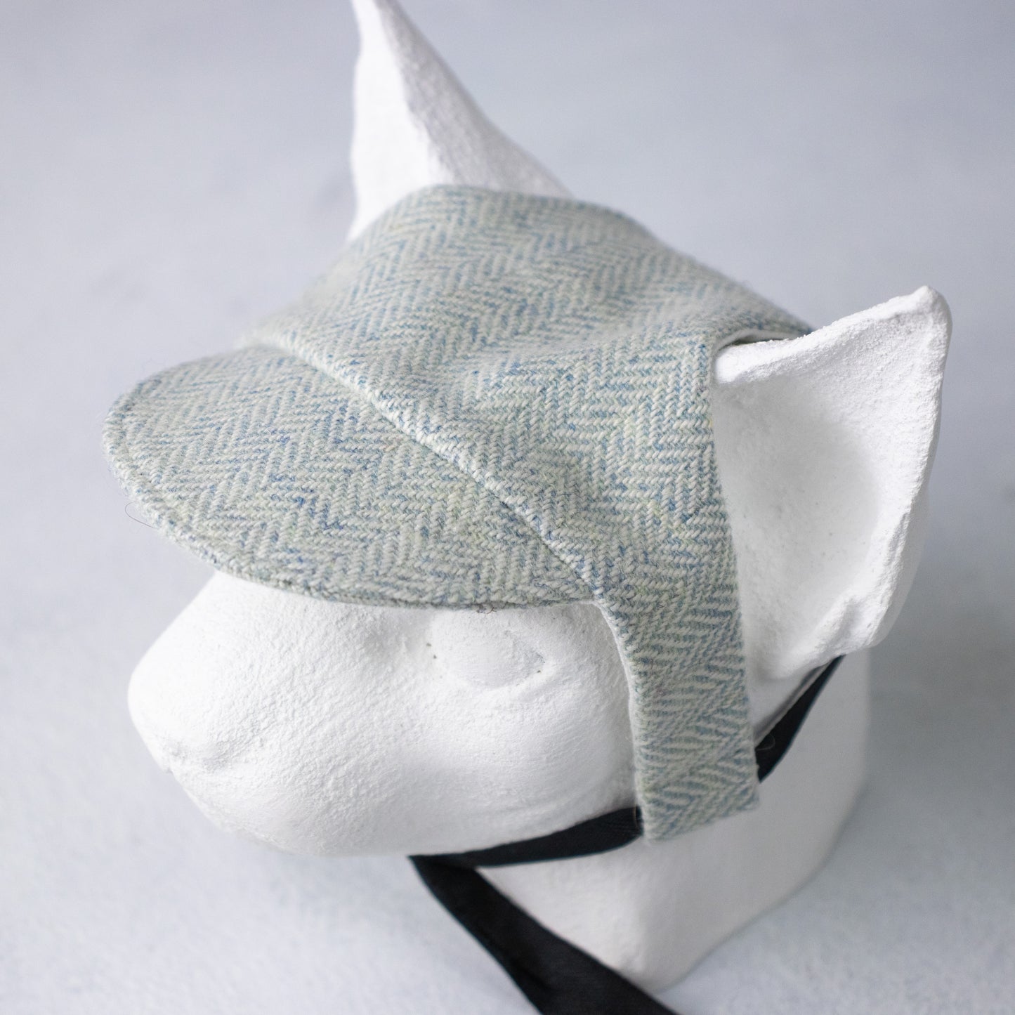 Matching tweed hat for cat