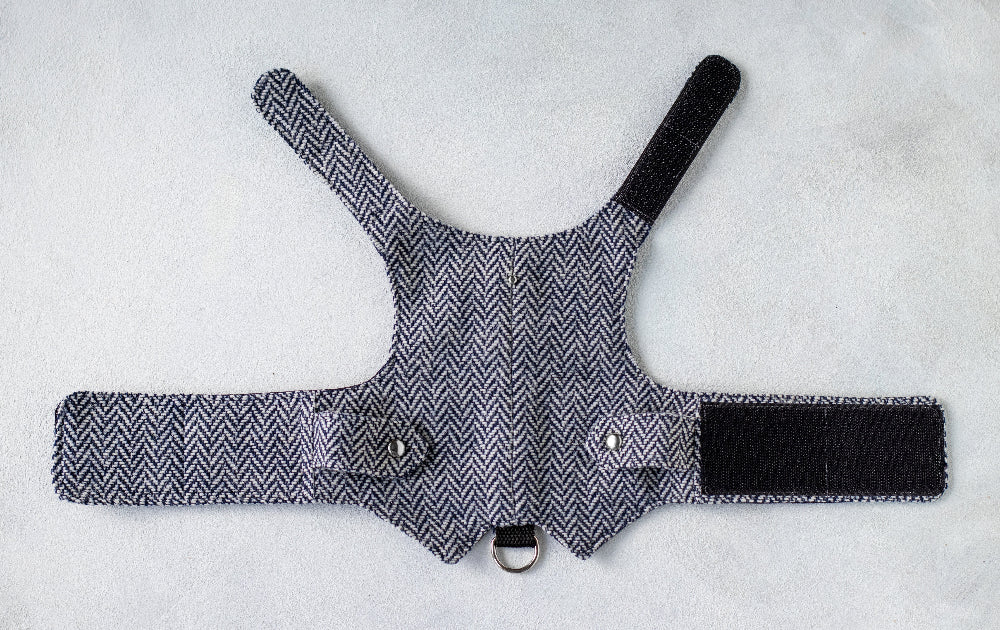 dark blue tweed cat harness