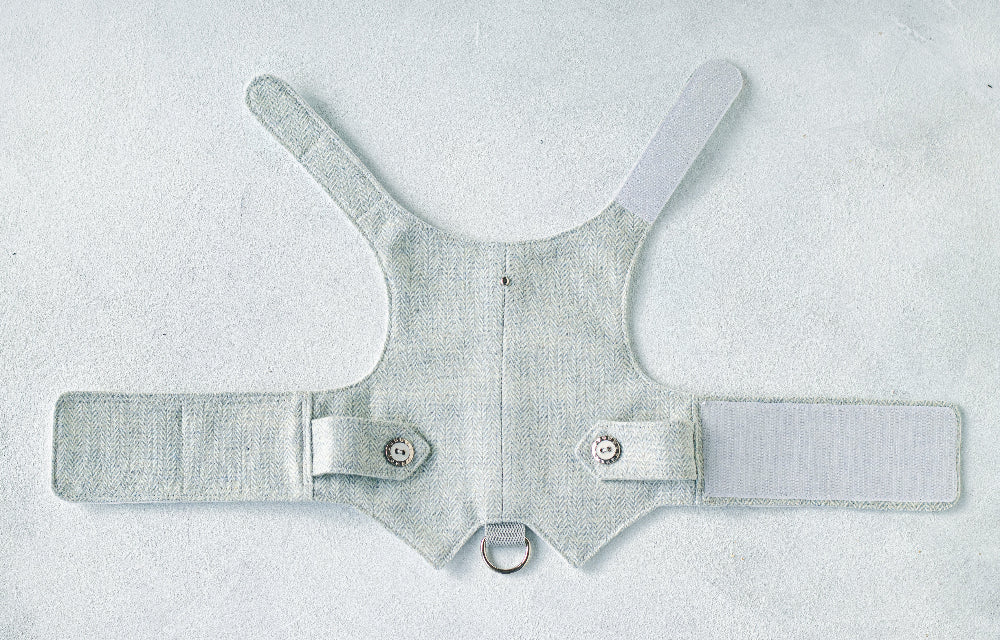 light blue tweed cat harness