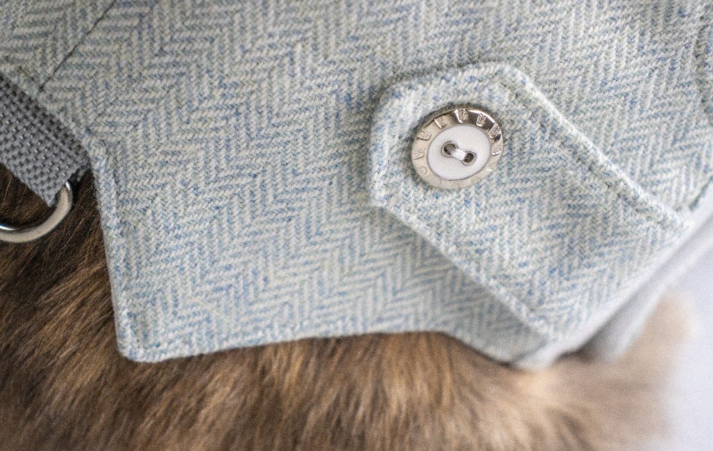 light blue tweed cat harness