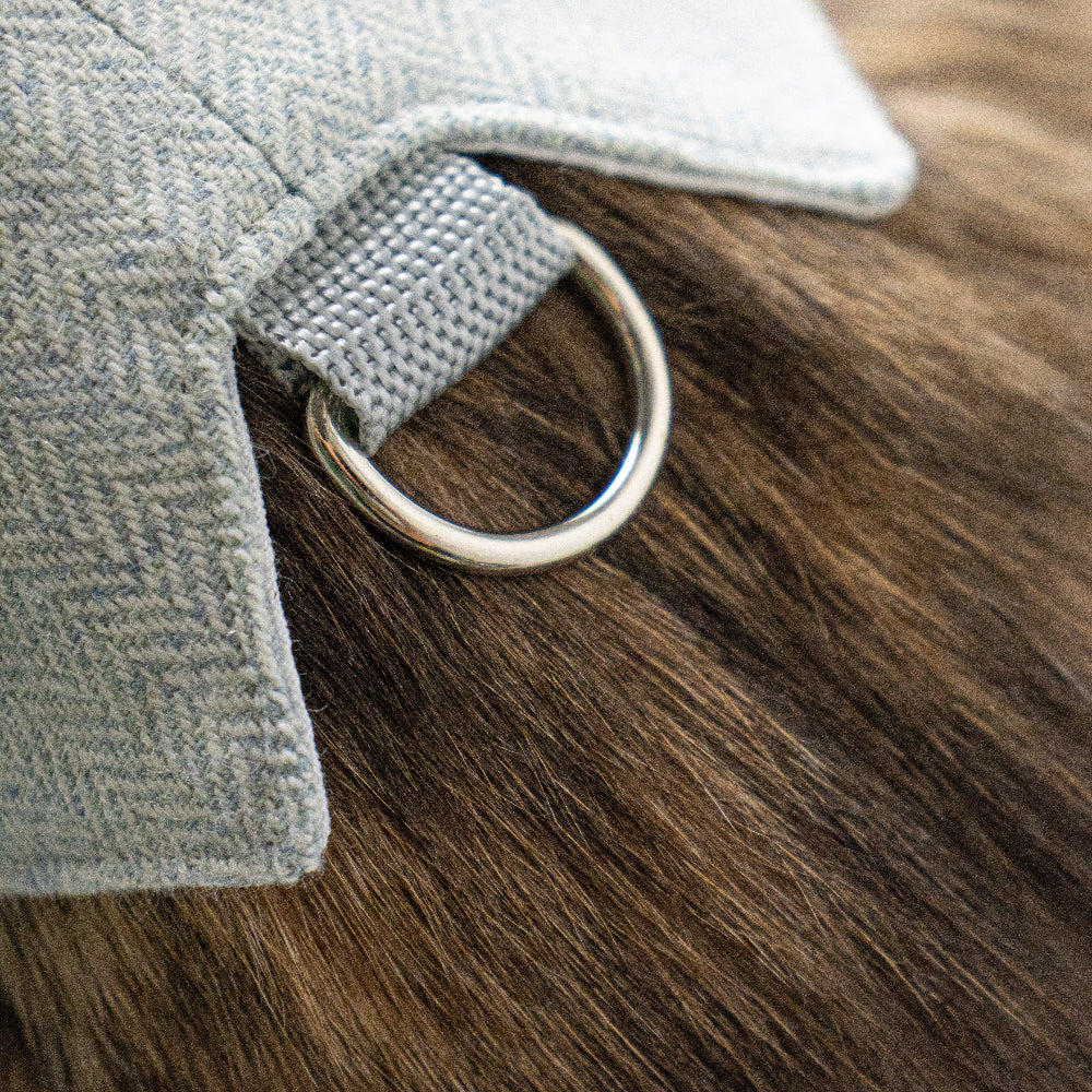 light blue tweed cat harness