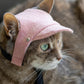 Tweed-style hat for a cat with a small brim