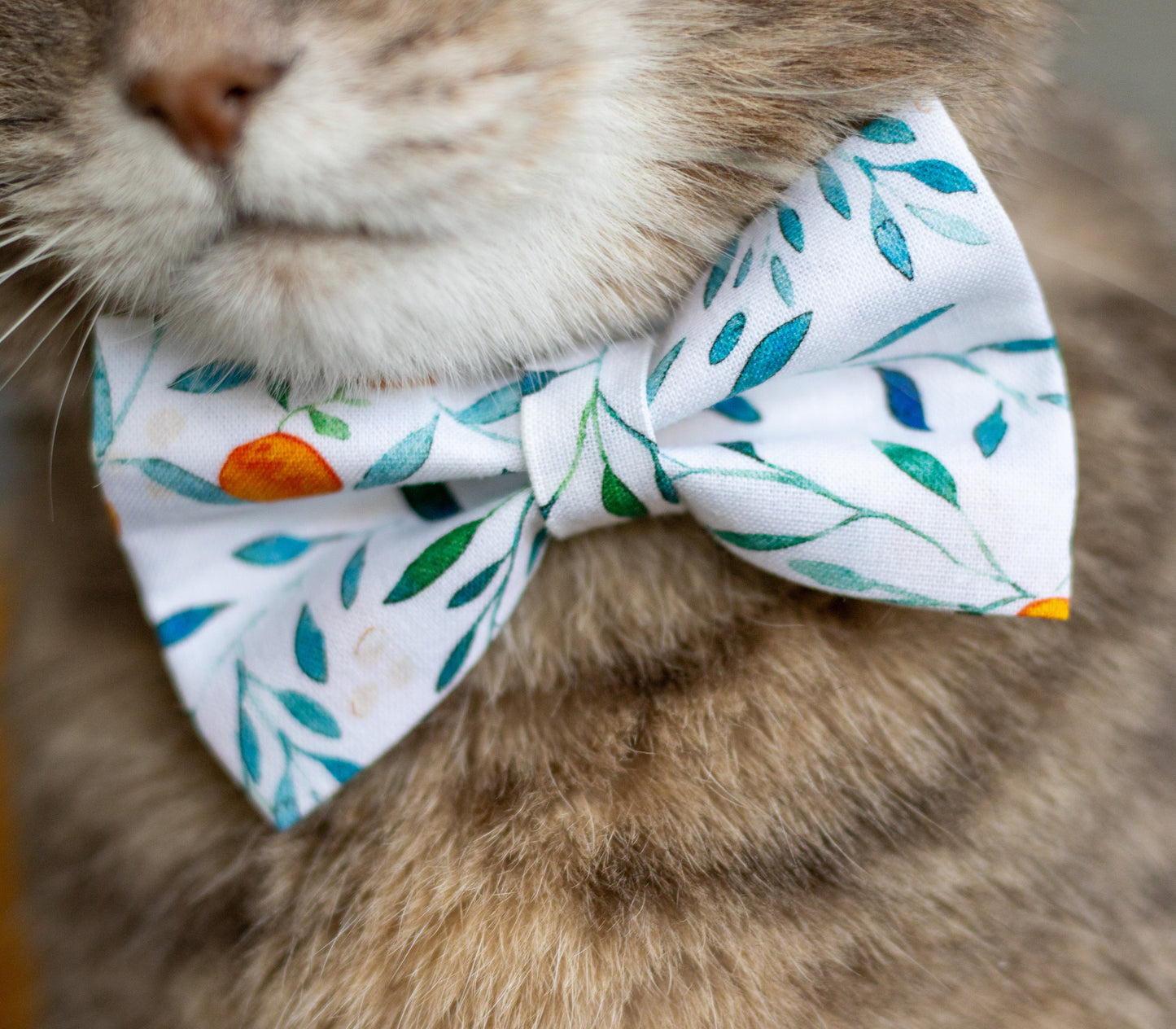 Pet Bow Tie - "Orange tree" - Cotton Bow Tie for Pet Collar / Cat Gift, Wedding/ Cat, Kitten, Small Dog, Little Pets