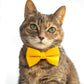 Pet Bow Tie - "Sunny Yellow" - Cotton Bow Tie for Pet Collar / Cat Gift, Wedding/ Cat, Kitten, Small Dog, Little Pets