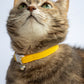 Pet Collar - "Sunny Yellow" - Cat Collar Breakaway /Non Breakaway / Cat, Kitten, Small Dog, Little Pets Sizes