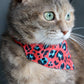 Pet Bandana - "Blue Plaid" - Bandana for Cat, Small Dog, Little Pet / Wedding, Winter, Fall, Summer / Slide-on Bandana / Over-the-Collar