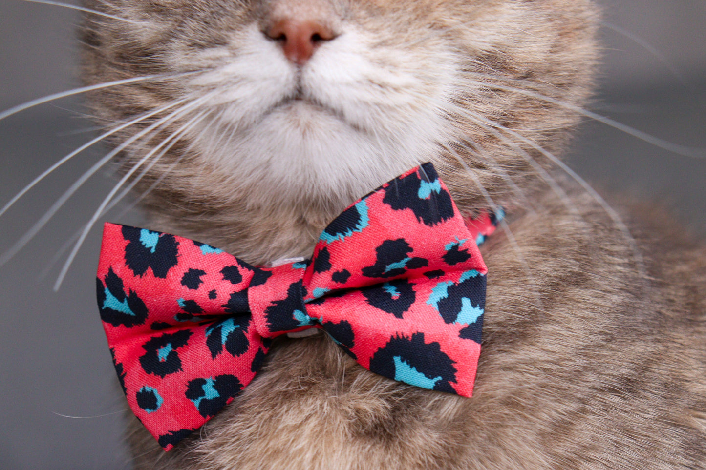 Pet Bow Tie - "Colorful Plaid" - Cotton Bow Tie for Pet Collar / Cat Gift, Wedding/ Cat, Kitten, Small Dog, Little Pets