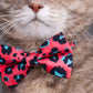 Pet Bow Tie - "Spring Forest" - Cotton Bow Tie for Pet Collar / Cat Gift, Wedding/ Cat, Kitten, Small Dog, Little Pets