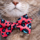 Pet Bow Tie - "Pink Berries" - Cotton Bow Tie for Pet Collar / Cat Gift, Wedding/ Cat, Kitten, Small Dog, Little Pets