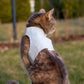 Tweed Cat Harness for Adult cats. One Size. Simple and Secure. Airtag Pocket optional (Copy)
