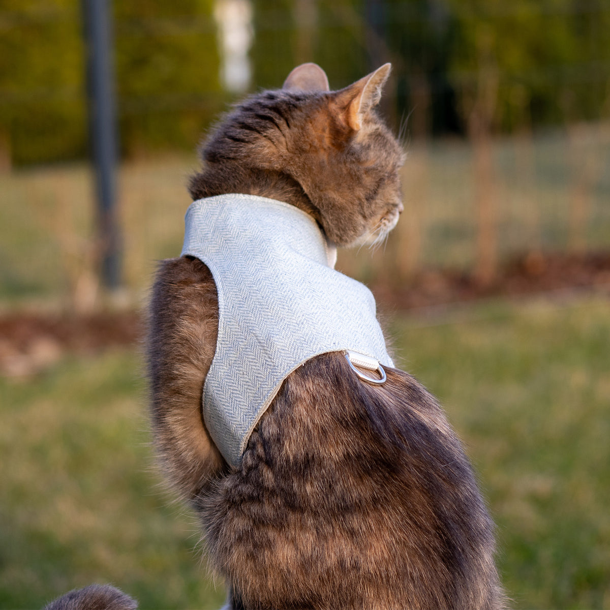 Tweed Cat Harness for Adult cats. One Size. Simple and Secure. Airtag Pocket optional (Copy)
