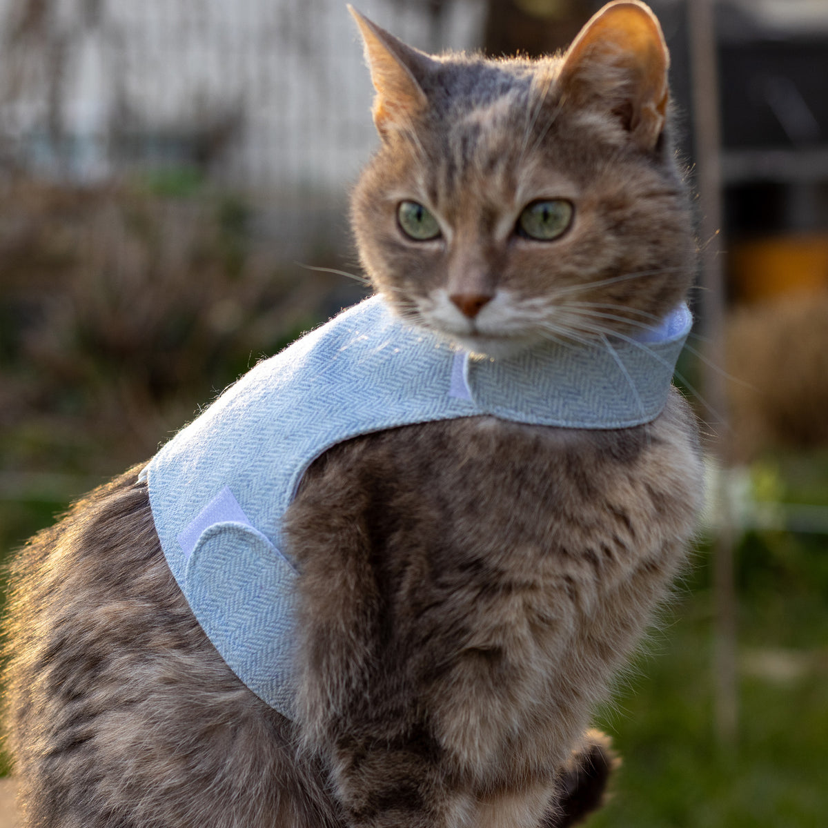 Tweed Cat Harness for Adult cats. One Size. Simple and Secure. Airtag Pocket optional (Copy)