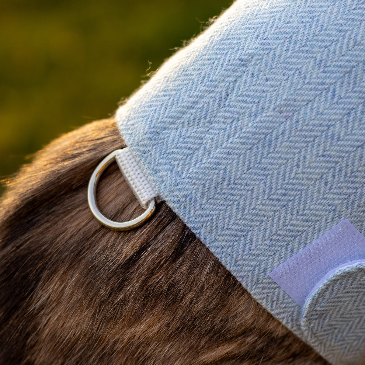 Tweed Cat Harness for Adult cats. One Size. Simple and Secure. Airtag Pocket optional (Copy)
