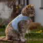 Tweed Cat Harness for Adult cats. One Size. Simple and Secure. Airtag Pocket optional (Copy)