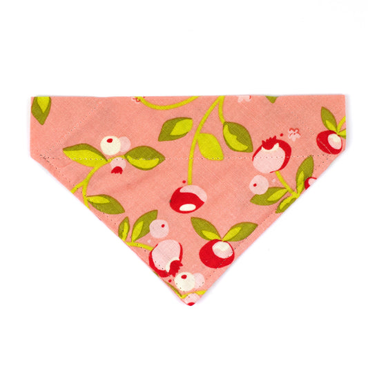 Pet Bandana - "Pink Berries" - Bandana for Cat, Small Dog, Little Pet / Summer, Spring, Winter, Fall, Wedding / Slide-on Bandana