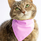 Pet Bandana - "Pink" - Bandana for Cat, Small Dog, Little Pet / Wedding, Winter, Fall, Summer / Slide-on Bandana / Over-the-Collar