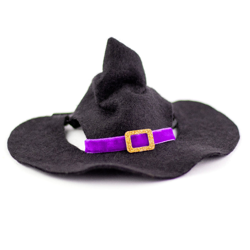Black witch hat with purple trim and gold buckle for cats and small dogs, Halloween pet costume