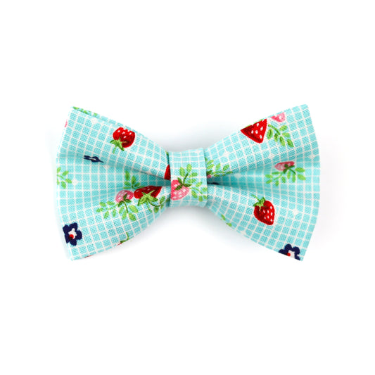 Pet Bow Tie - "Strawberries" - Cotton Bow Tie for Pet Collar / Cat Gift, Wedding/ Cat, Kitten, Small Dog, Little Pets