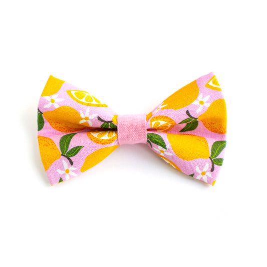 Pet Bow Tie - "Pink Lemon" - Cotton Bow Tie for Pet Collar / Cat Gift, Wedding/ Cat, Kitten, Small Dog, Little Pets