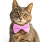 Pet Bow Tie - "Pink" - Cotton Bow Tie for Pet Collar / Cat Gift, Wedding/ Cat, Kitten, Small Dog, Little Pets