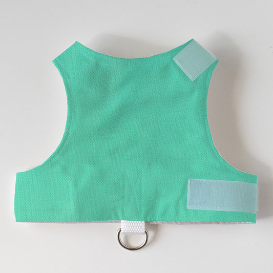 Escape proof celadon cat harness with adjustable velcro straps and leash D-ring, safety harness for cats