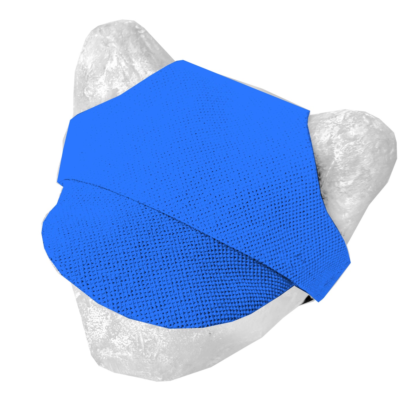 Matching hat for cat