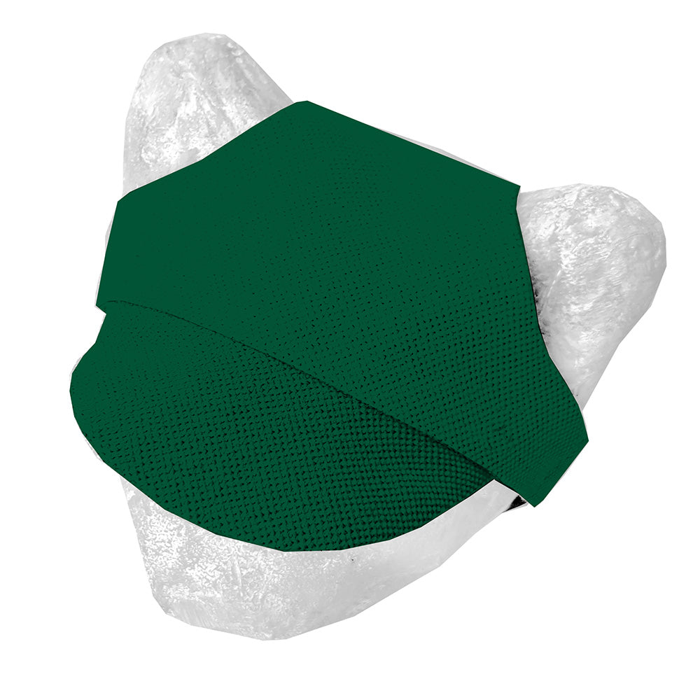 Matching hat for cat