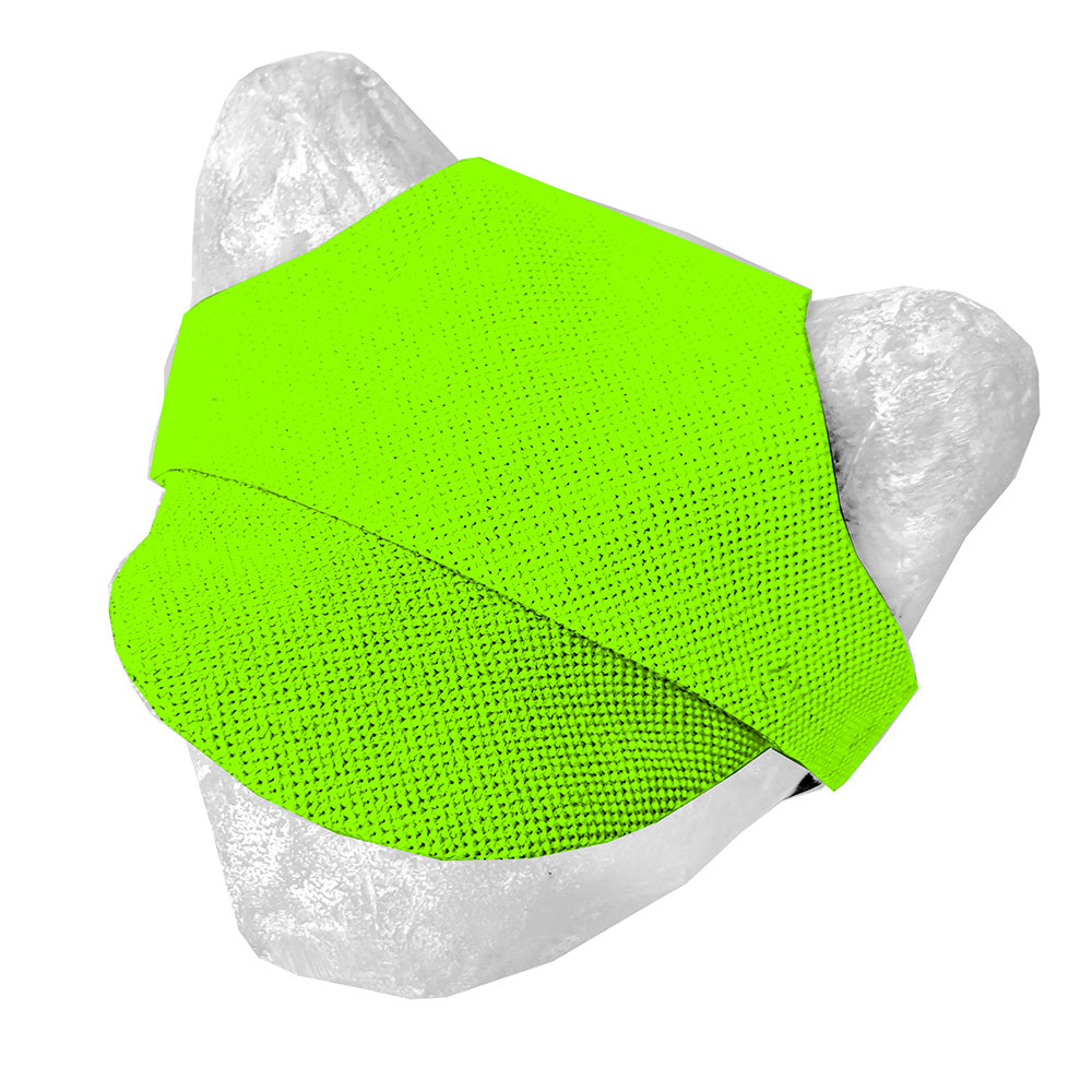 Matching hat for cat