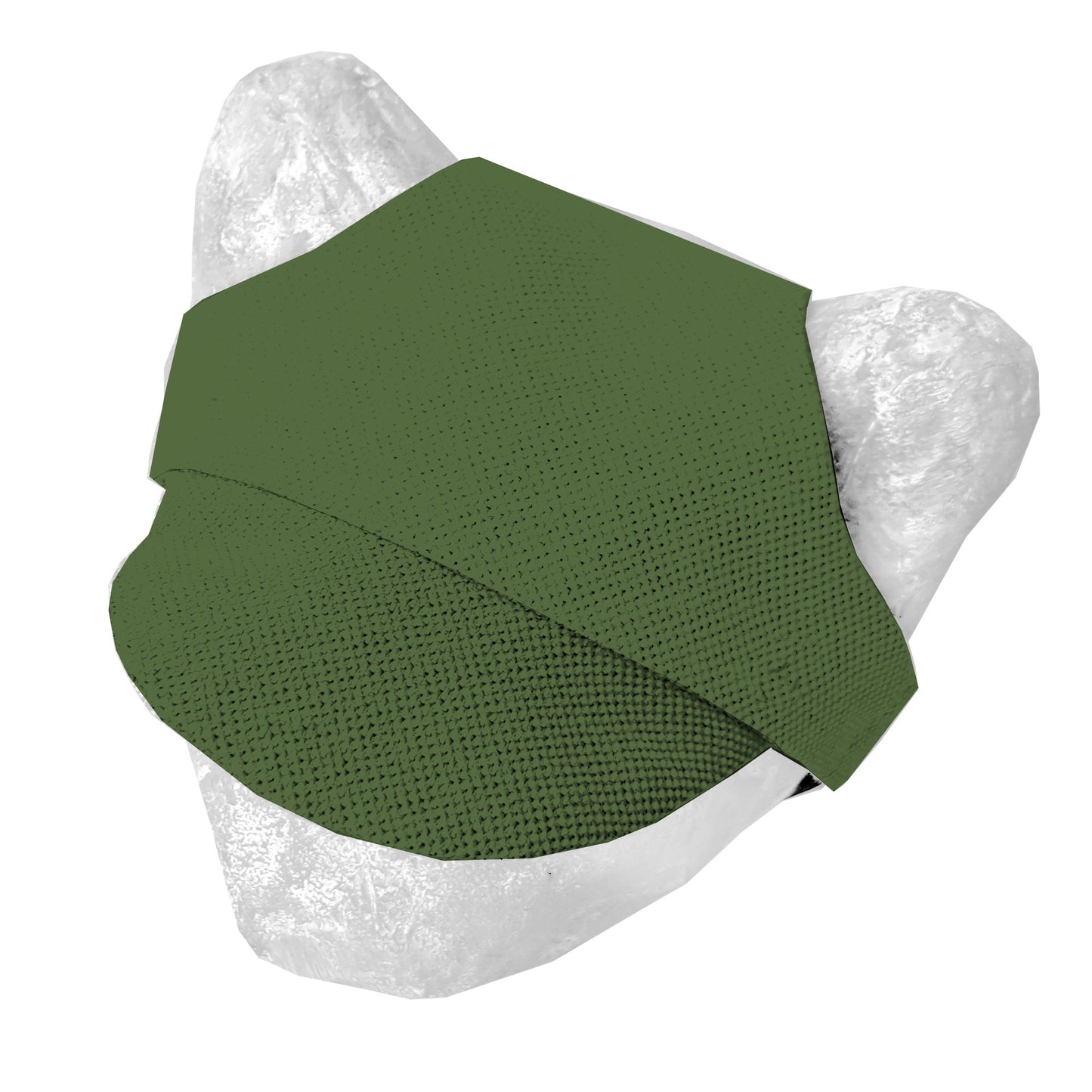 Matching hat for cat