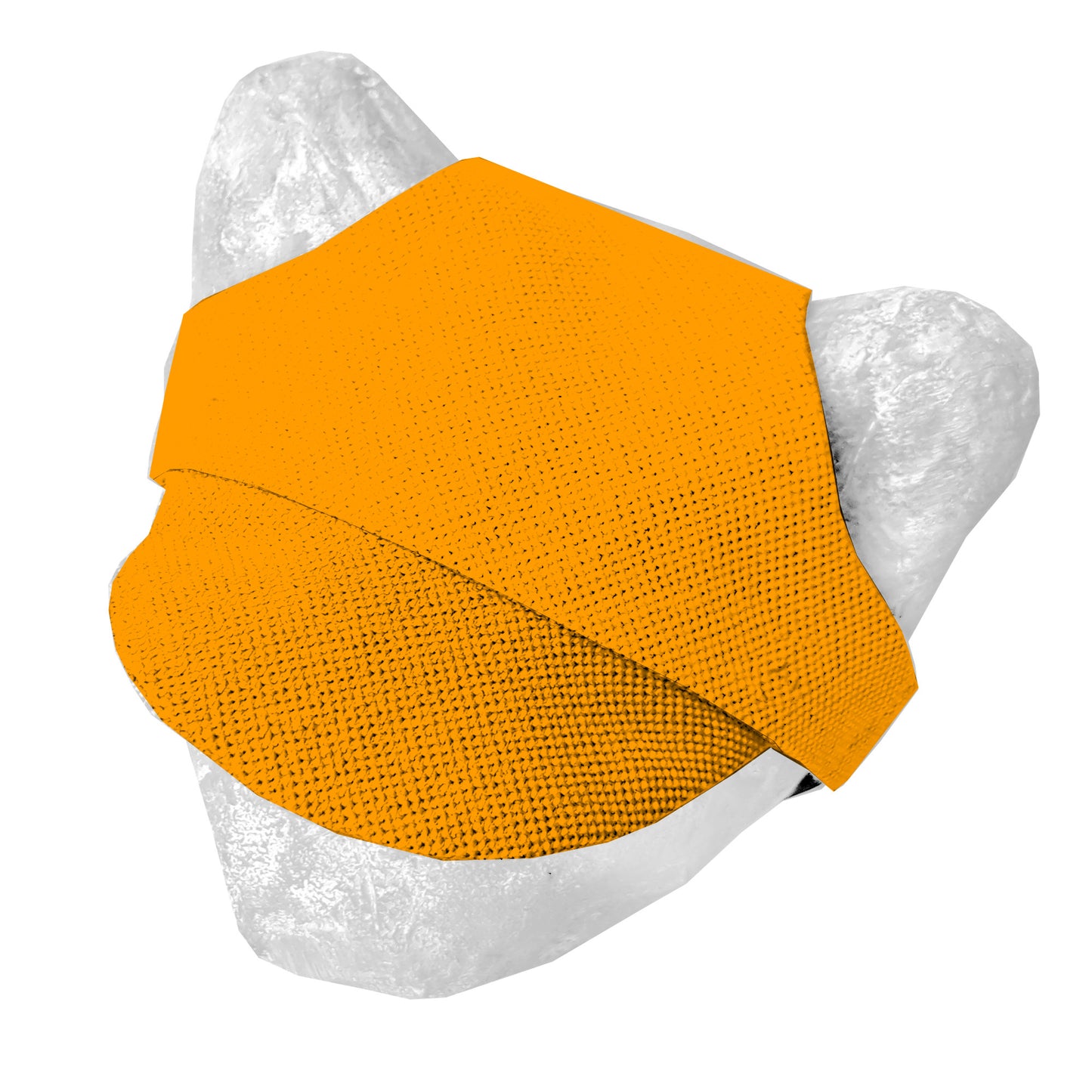 Matching hat for cat