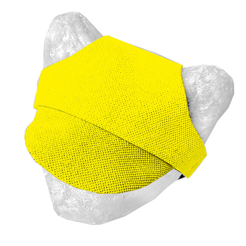 Matching hat for cat