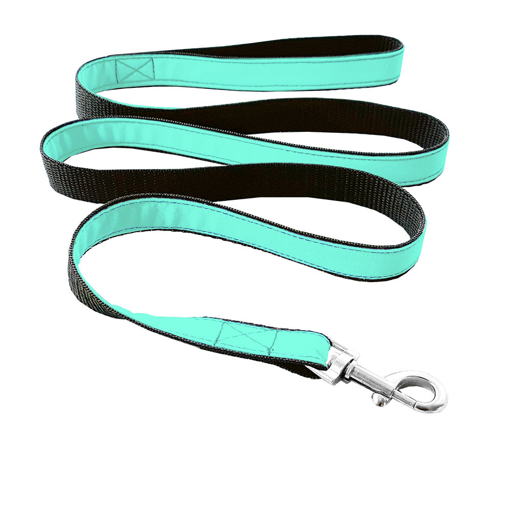 Matching leash for cat