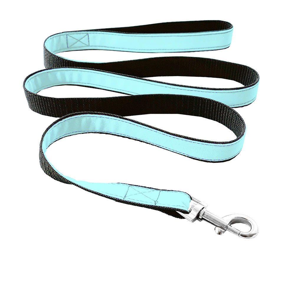 Matching leash for cat