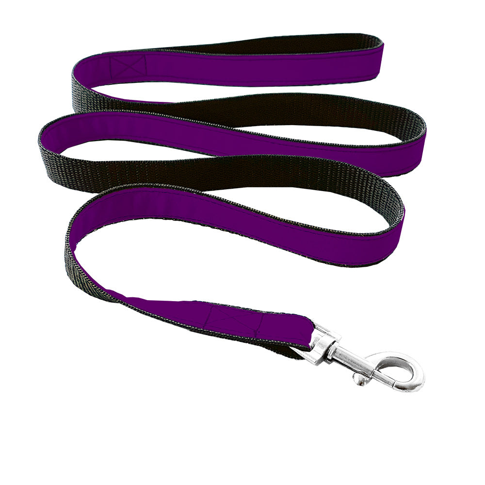Matching leash for cat