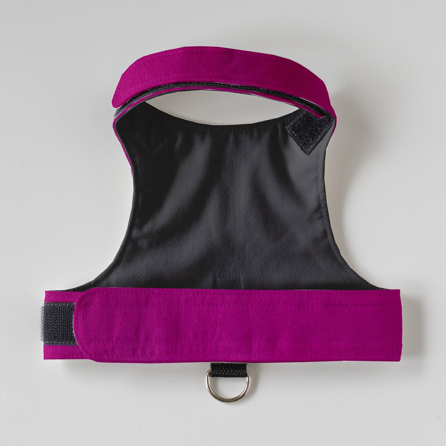 Simple and Secure Cat Harness for Adult cats. One Size. Airtag Pocket optional