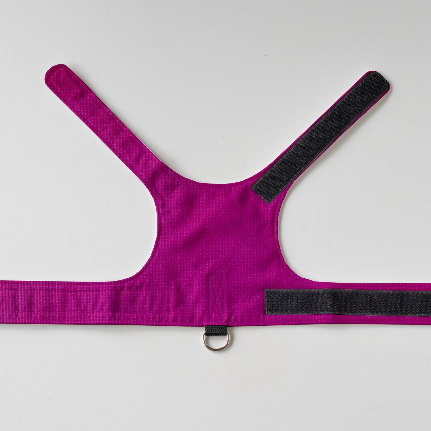 Simple and Secure Cat Harness for Adult cats. One Size. Airtag Pocket optional