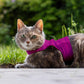 Simple and Secure Cat Harness for Adult cats. One Size. Airtag Pocket optional