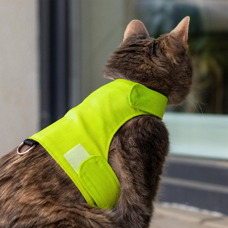 Escape proof cat harness with adjustable velcro straps and leash D-ring, safety harness for cats