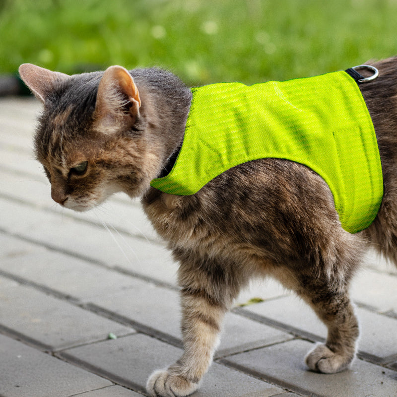 Escape proof cat harness with adjustable velcro straps and leash D-ring, safety harness for cats