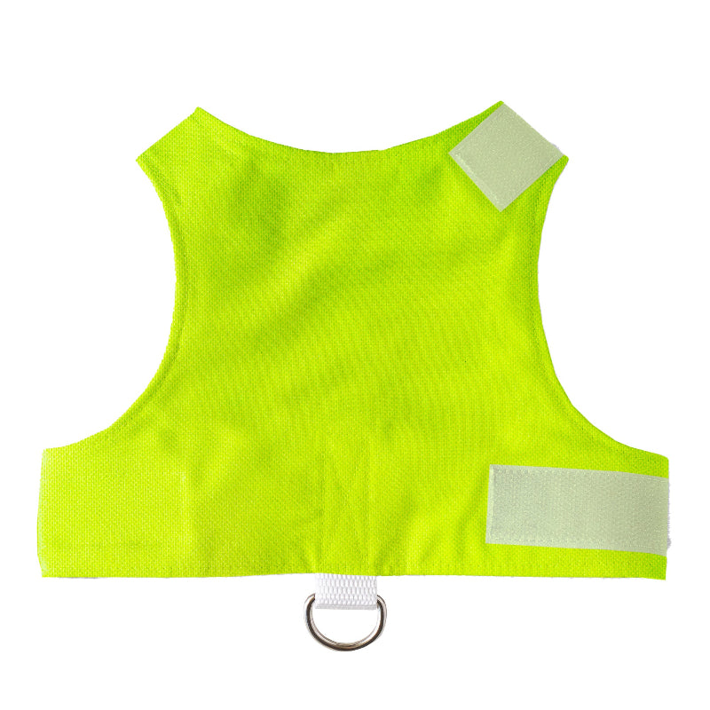 High-visibility neon green cat harness with adjustable velcro straps and leash D-ring, safety harness for cats