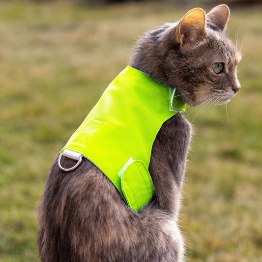 Cat wearing a bright green safety vest outdoors on a grassy background