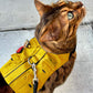 A Bengal cat with distinctive markings wearing a yellow utility-style harness with multiple small pockets, a silver D-ring, and a black leash is looking upwards outdoors
