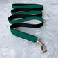 Teal and black dog leash with a silver clip on a textured gray surface