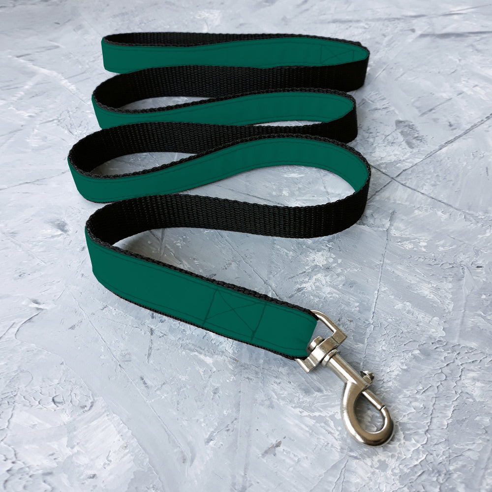 Teal and black dog leash with a silver clip on a textured gray surface