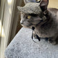 Tweed-style hat for a cat with a small brim and a black ribbon tied in a bow on top, shown on a grey textured surface.