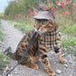 Tweed-style hat for a cat with a small brim  shown on a bengal cat