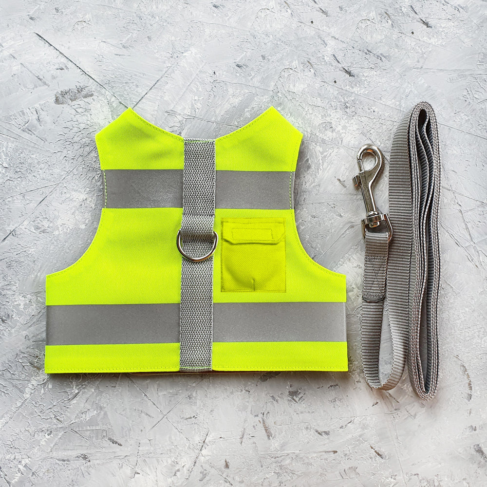 The Allcatsgood leash training kit containing a high-visibility cat harness, a grey leash